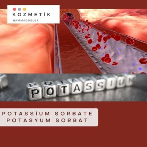 Potassium Sorbate Potasyum Sorbat