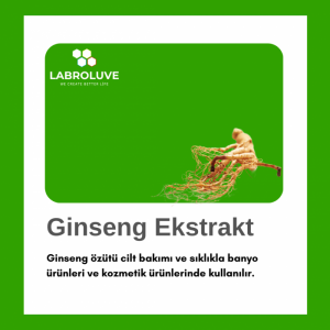 Ginseng Ekstrakt